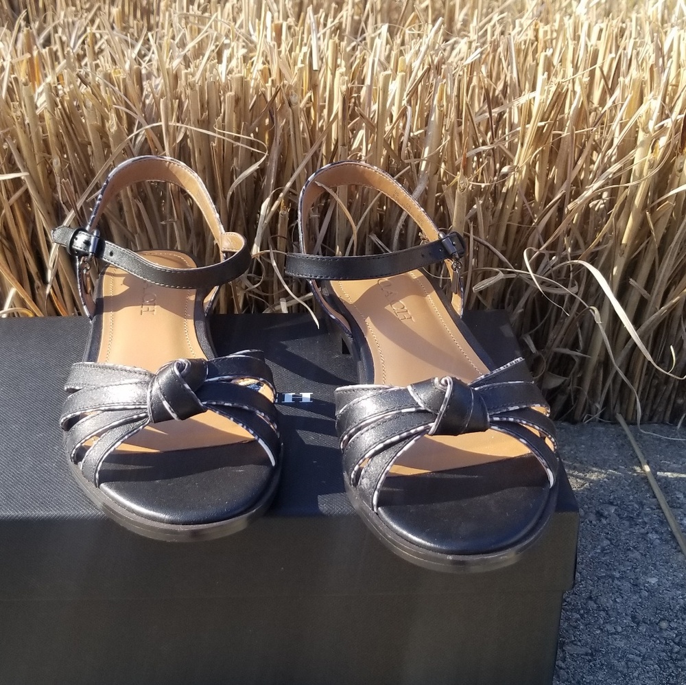 NIB COACH Sophia Sandal Sz 6.5 - Picture 2 of 7